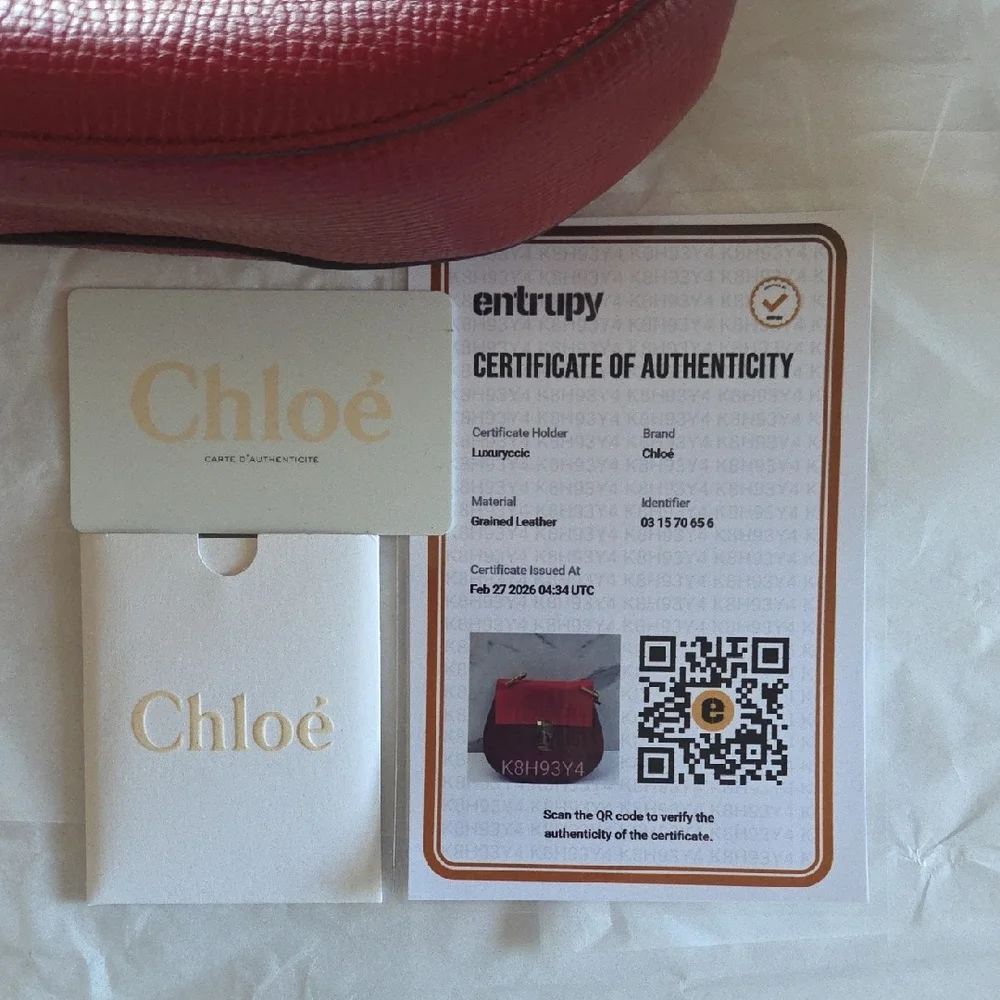 Chloe Drew Medium Crossbody bag - Picture 12 of 14